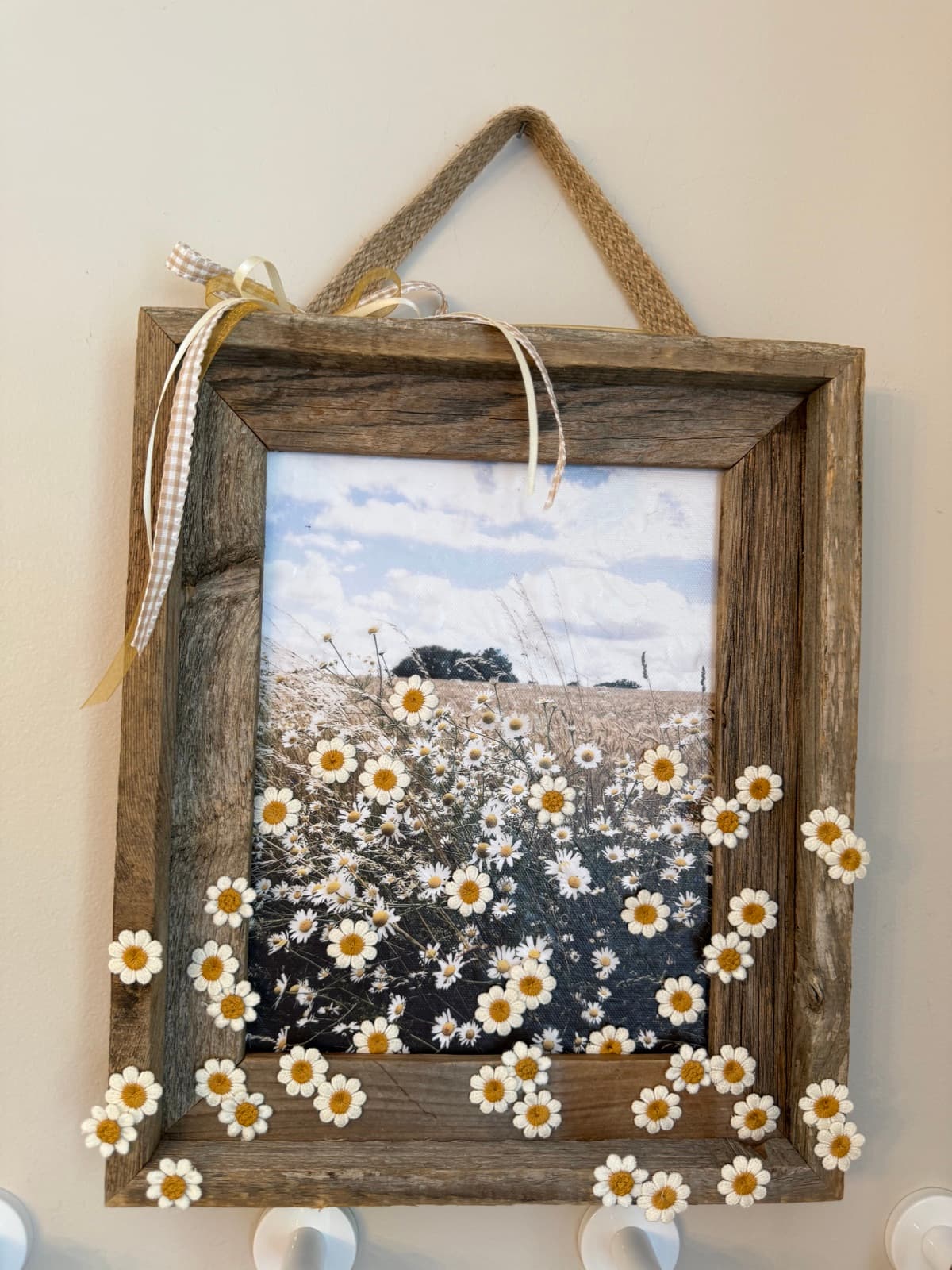 Bursting Daisies Frame